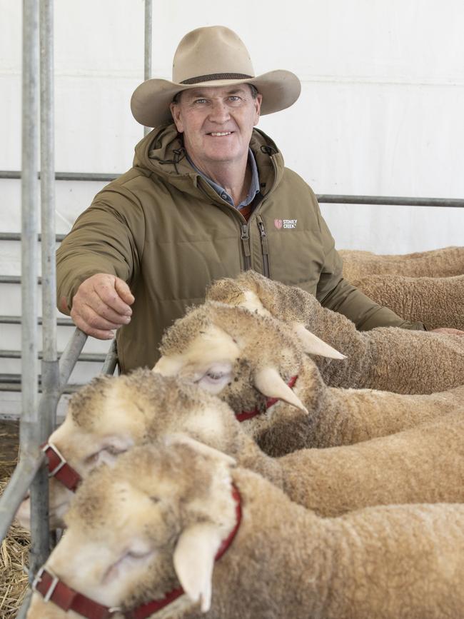 Nigel Kerin with his rams. Picture: Zoe Phillips