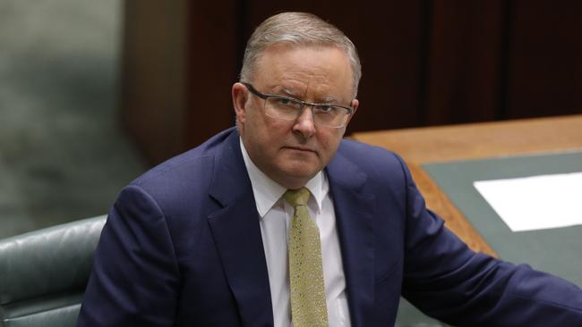 Labor leader Anthony Albanese. Picture Sean Davey