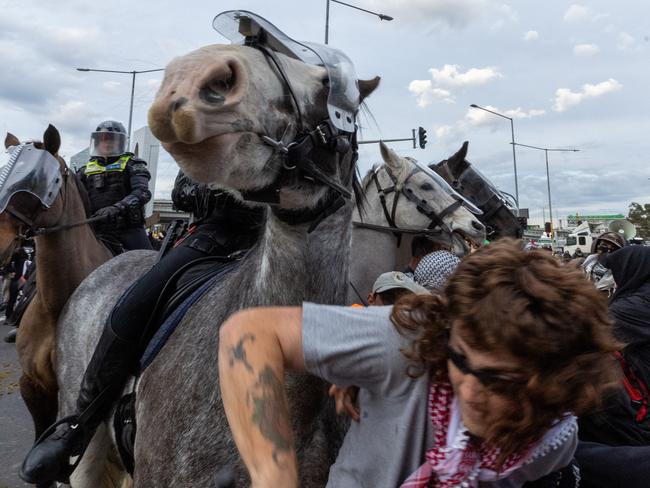 Wild scenes with mounted police. Picture: Jake Nowakowski