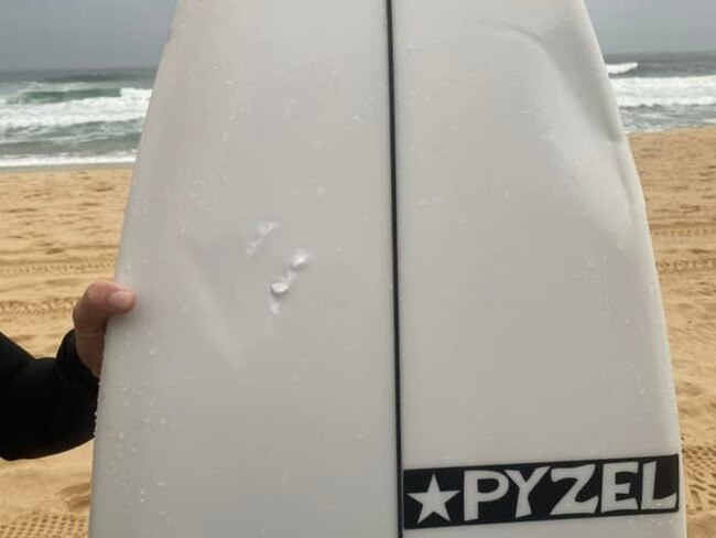 Dents and bites seen on the surfer’s board.