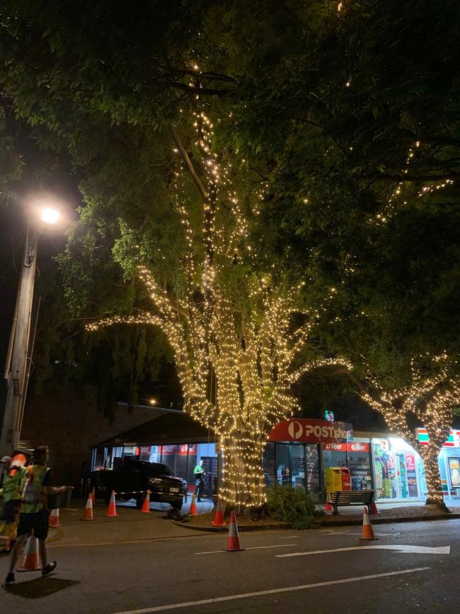 About 40 trees were covered in lights. 