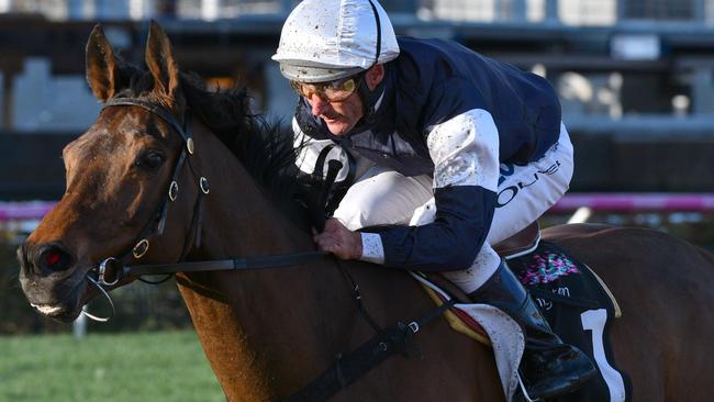 Almandin is primed to win back to back Melbourne Cups, according to Herald Sun form analyst Michael Manley.