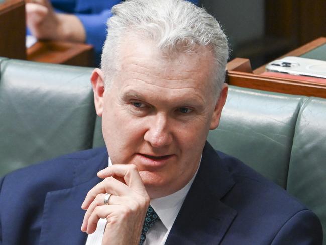 Minister for Home Affairs Tony Burke has acted like importing even a patriarch of a clan boasting many top terrorists was no big deal. Picture: Martin Ollman