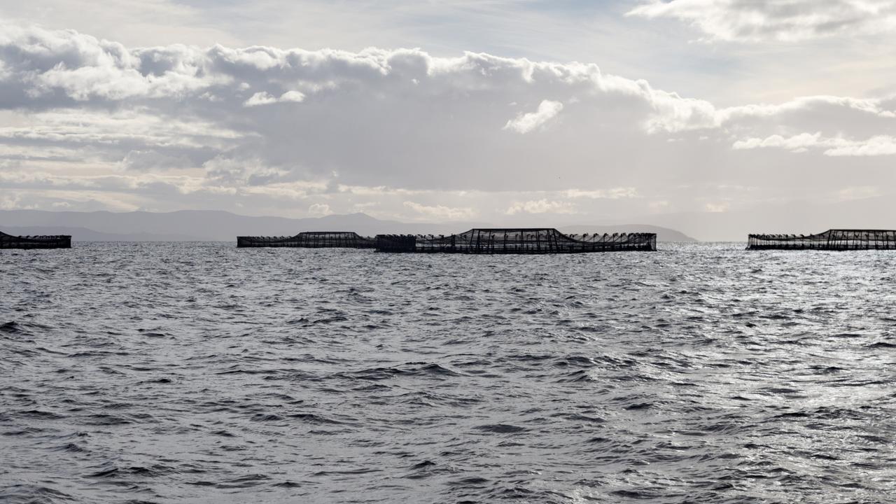 Huon Aquaculture said it was minimising sales to the Chinese market. Picture: Peter Mathew