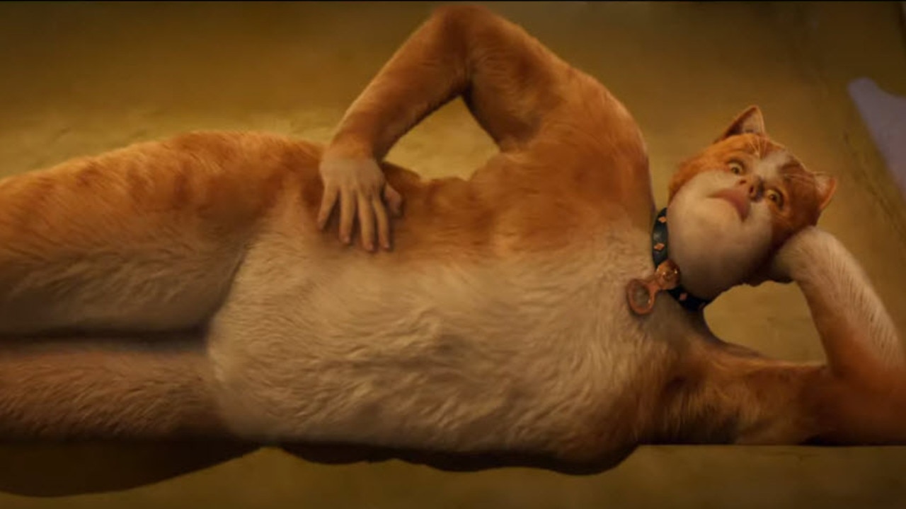 If you've ever wanted to see Rebel Wilson as a cat, this is the movie for you.