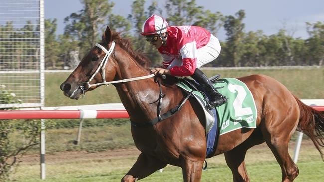 Wiggles wins at Gunnedah in January this year. He has a terrific chance to return to the winner's stall at Scone on Monday. Photo: Bradley Photos