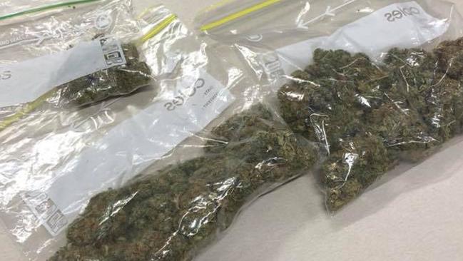 Harley rider busted with 56g of weed | Daily Telegraph