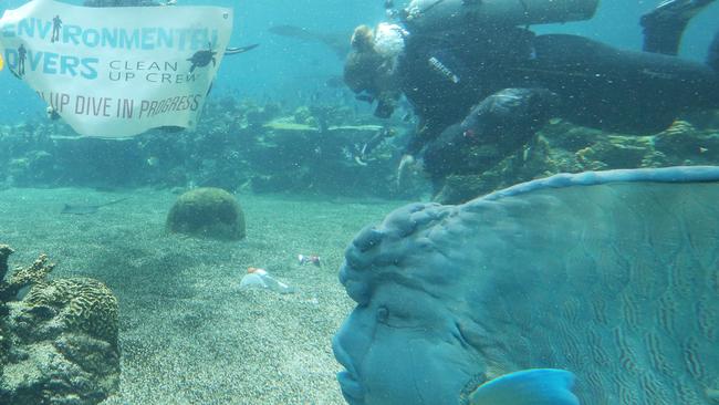 Sea World divers joined the Environmental Divers on a mock clean-up at Shark Bays Tropical Reef Pool in preparation for the real thing in Gold Coast waterways. Picture: Glenn Hampson