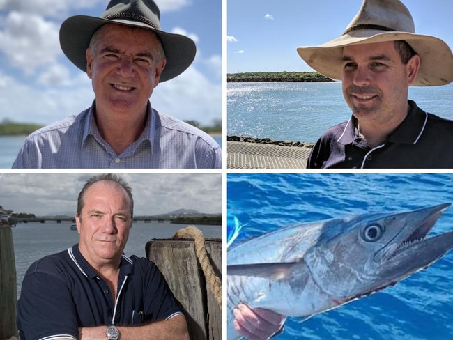 ‘Disastrous’, ‘reasonable’ : New Spanish mackerel rules prompt praise and scorn