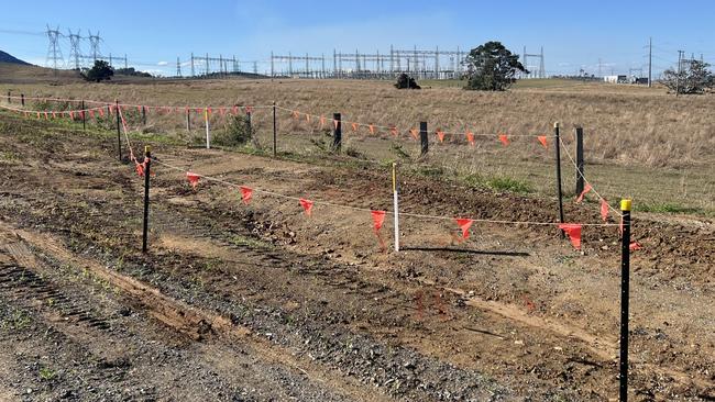 Stakes have been erected in an effort to outline the location of an underground high voltage electrical wire at the Woolooga Solar Farm amid claims it was connected to a nearby substation despite not being fully registered with the authorities.