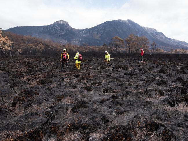 Firefighters standing in burnt buttongrass from the Gell River fire. Picture: WARREN FREY/TASMANIA FIRE SERVICE