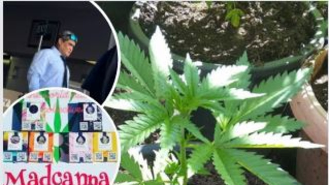 Lollipop man in court over alleged $700k in cannabis seed sales