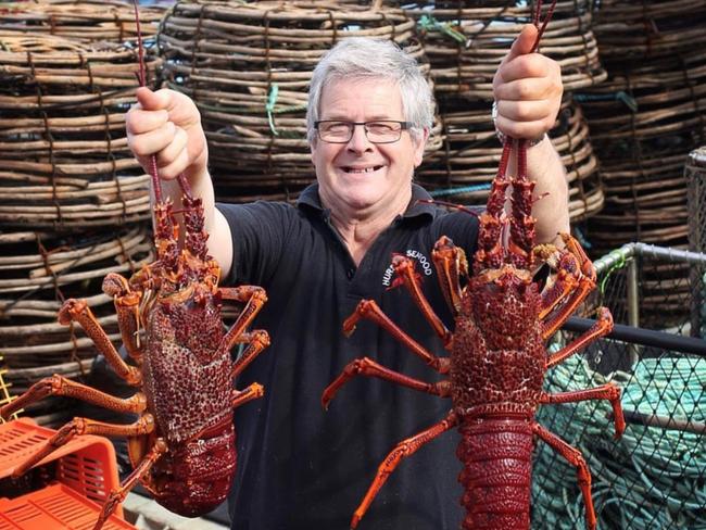 Hursey Seafood, Stanley, Tasmania. Mark Hursey pictured with some Tasmanian rock lobster. Photos: Steven Hursey/Supplied