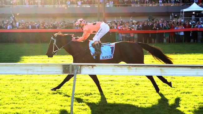 Australian racing great Black Caviar. Picture: File