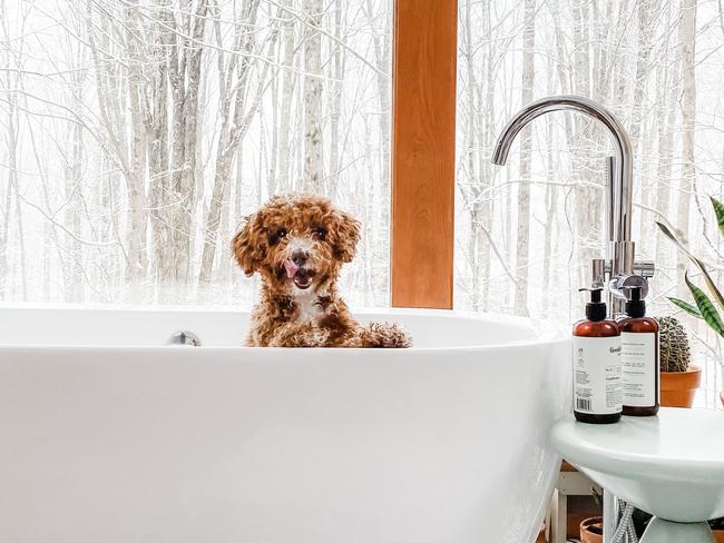 Making bathtime fun.