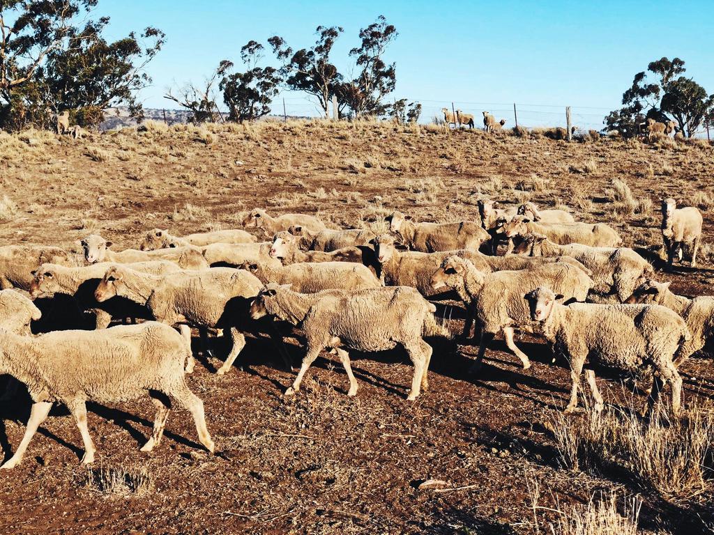 Drought NSW: Toowoomba photographer on mission to raise awareness | The ...