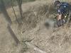 Watch: Police dog captures alleged offender after bushland hunt