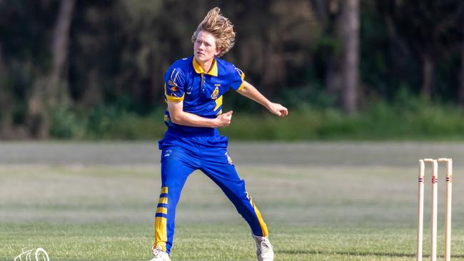 Gympie cricket player Harry Sippel. Picture: Zahner Photography