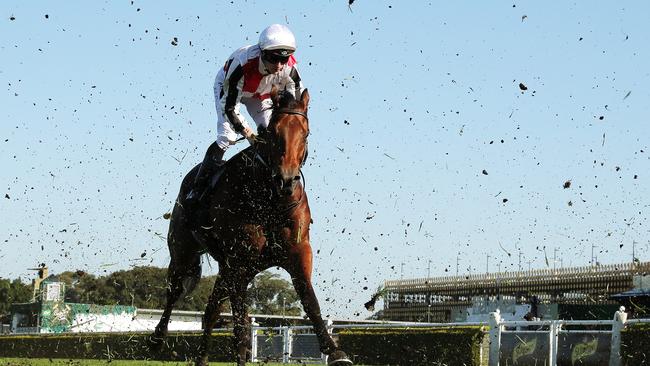 Acrophobic struggled at Royal Randwick on Saturday.