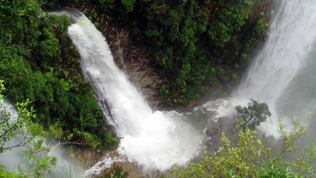 70m Coomera Falls (L) and 165m Yarrabilgong Falls (R) drop into Coomera Gorge in Lamington National Park, 6km from Binna Burra Lodge.