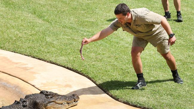 Chandler Powell feeds a crocodile.