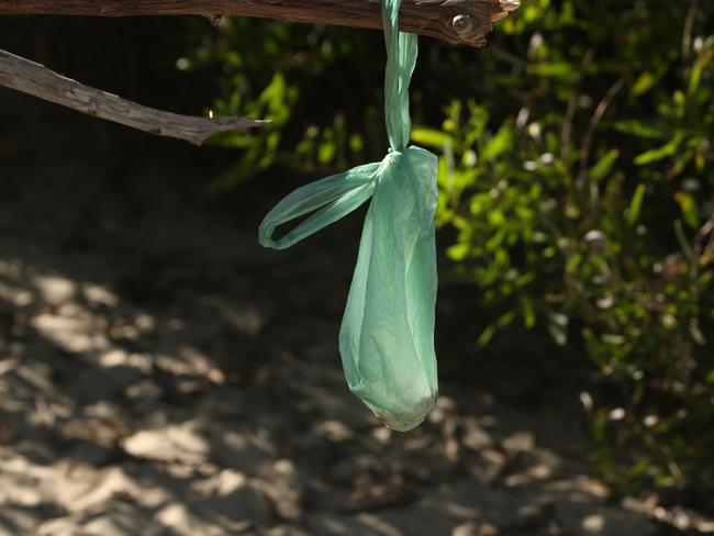 Poo bags are often seen dangling from trees. Picture: Scott Fletcher.