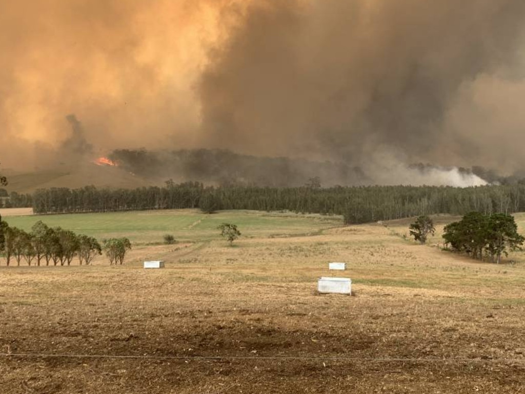 Before: The fire front races towards Robert Miller’s dairy farm near Milton on the NSW south coast at 1pm on New Year’s Day. Picture: Robert Miller