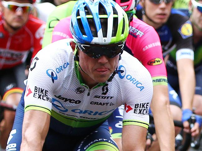 TOUR DOWN UNDER - Stage 1 - Prospect to Lyndoch. Simon Gerrans makes his way to Lyndoch. Photo Sarah Reed.