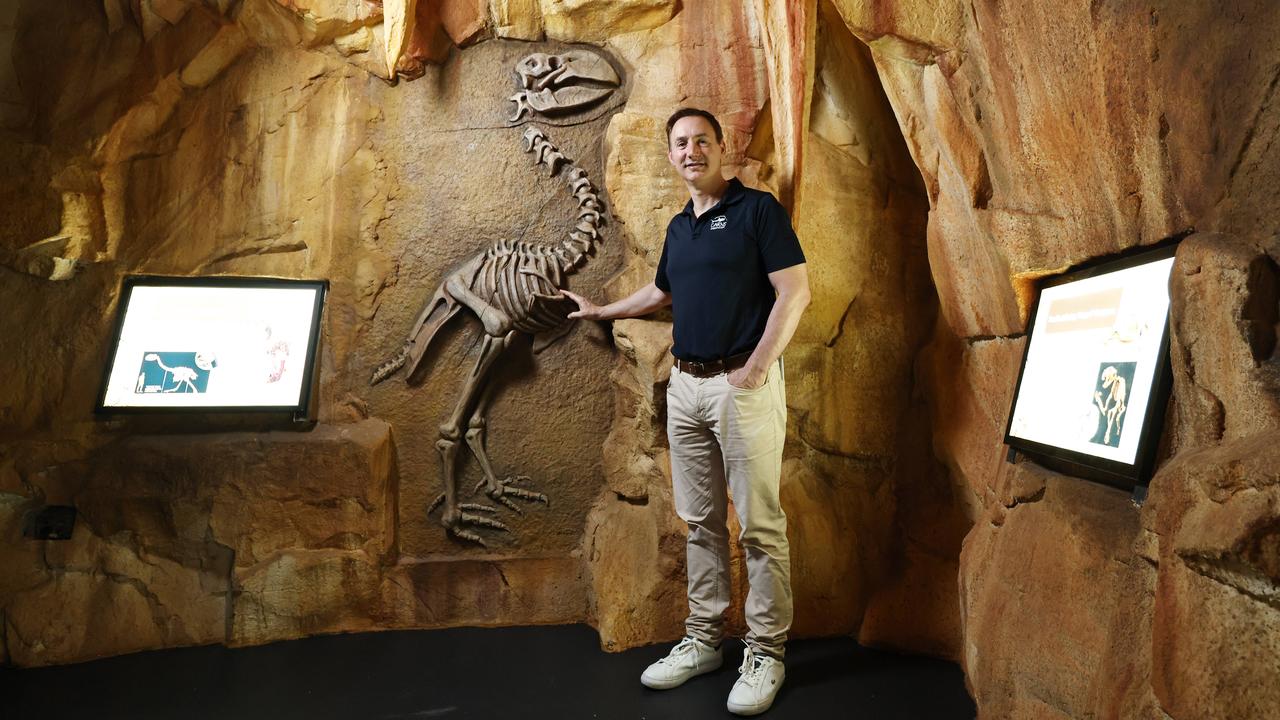 Cairns Aquarium has opened a new attraction, the Riversleigh Fossil Tour, in time for the busy Christmas holiday period. Cairns Aquarium chief executive Daniel Leipnik marvels over a large prehistoric bird-like fossil at the new exhibit, one of four Gondwanna-era fossil recreations on display to the public. Picture: Brendan Radke