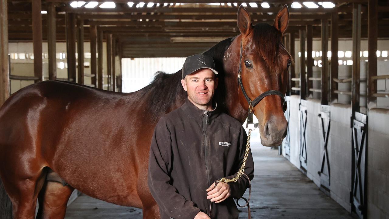 Luke McCarthy with King Of Swing, who has drawn barrier 13 for the Victoria Cup. Picture: Liam Kidston