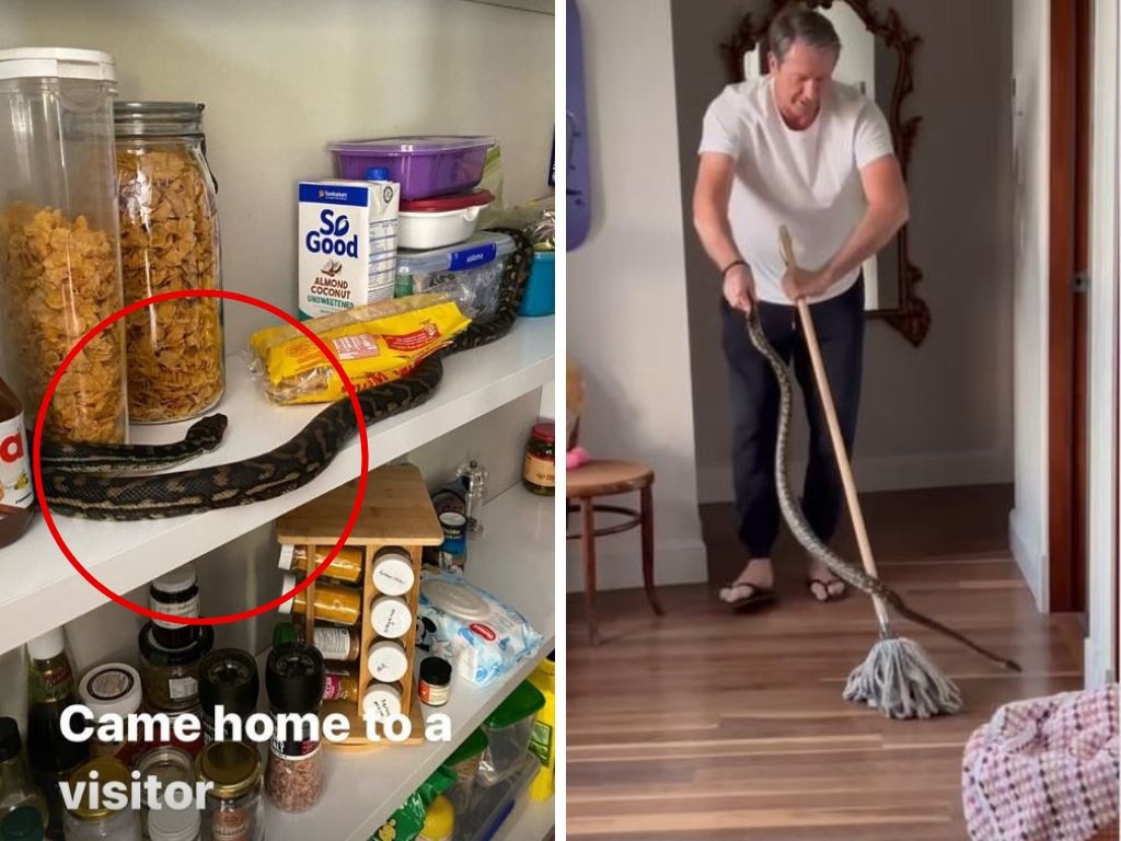 Glenn McGrath and a couple of the snakes in question that invited themselves into his home. Photos: Instagram