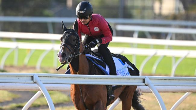 Prognosis during a trackwork session at Werribee. Picture: Vince Caligiuri/Getty Images