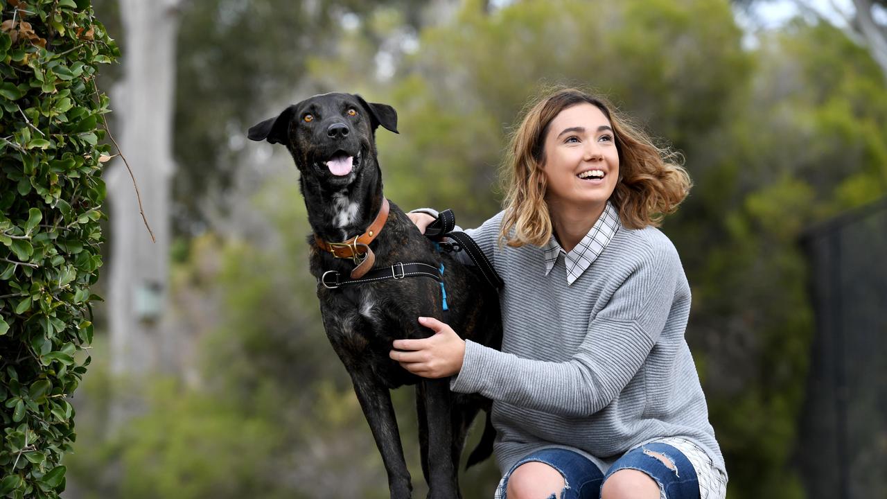 Rescue dog Dozer with his new mum Georgia Morris ahead of the RSPCA’s Million PawsWalk in May 2019. Register for 2020 at millionpawswalk.com.au. Picture: Tricia Watkinson