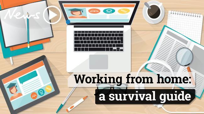 Working from home: a survival guide