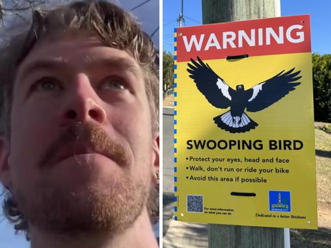 A comedian has revealed the simple trick he uses to stay safe from swooping magpies.