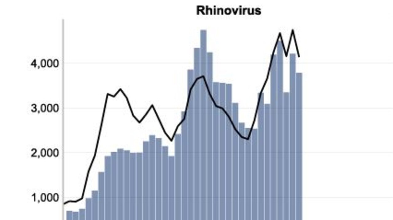 The number of Rhinovirus cases reported in positive PCR tests over the same period. Picture: NSW Health