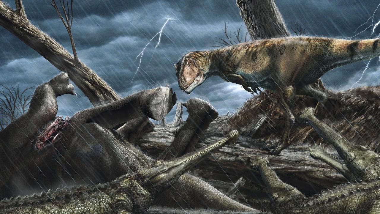 The giant predatory dinosaur carcharodontosaurus eyes a group of elosuchus – crocodile-like hunters – near a carcass. Artwork: Davide Bonadonna