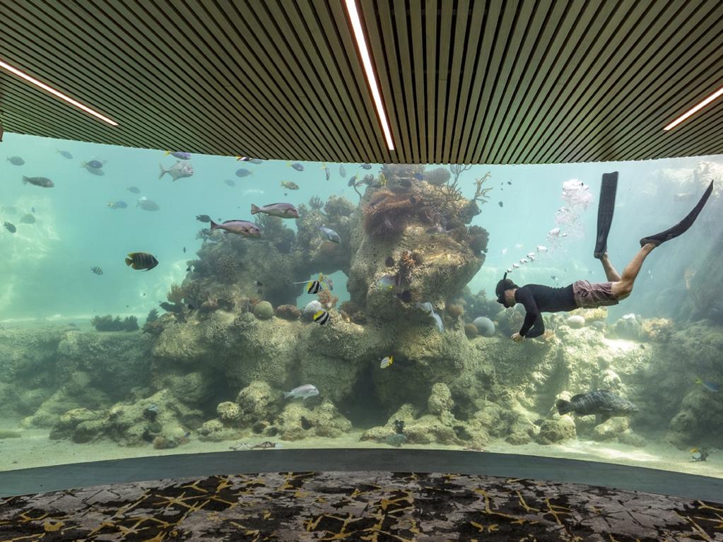 9 best underwater restaurants in the world | news.com.au — Australia’s ...