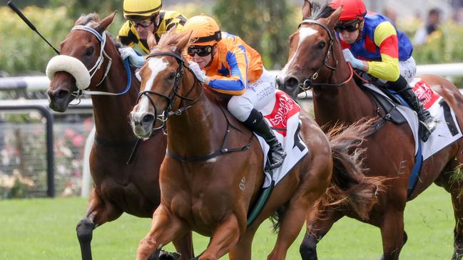 Sans Doute ridden by Celine Gaudray wins the Resimax Group Plate  at Flemington Racecourse on March 02, 2024 in Flemington, Australia. (Photo by George Sal/Racing Photos via Getty Images)