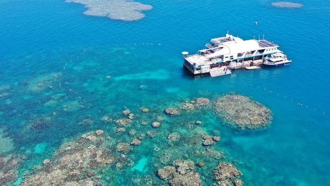 The Reef Magic pontoon at Moore Reef, off Cairns, which Eric Fisher has studied for almost 20 years.