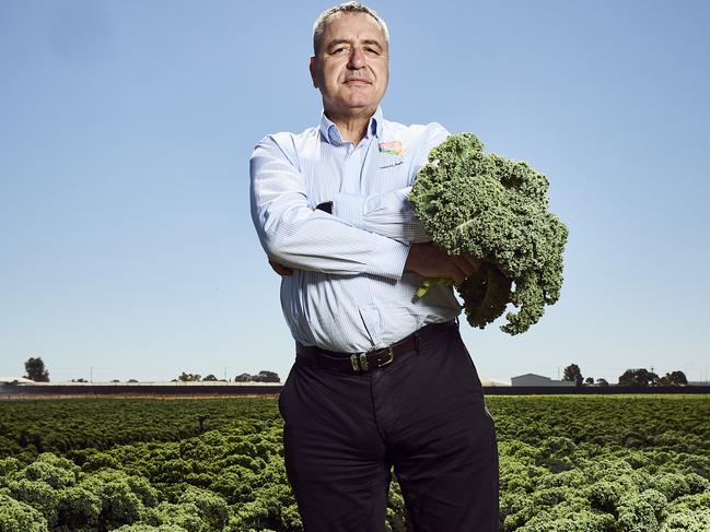 Angelo Demasi from the Horticultural Association SA  holding produce at a farm, Wednesday, Jan. 31, 2024. Picture: Matt Loxton