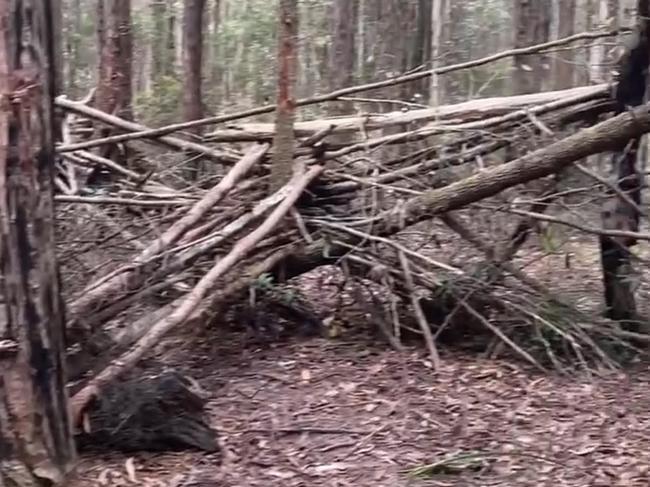 Woven tree branches in reported ‘yowie territory’. Picture: Facebook