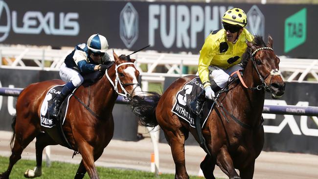 Soulcombe (left) finishing second behind Without A Fight in the Melbourne Cup. Picture: Michael Klein