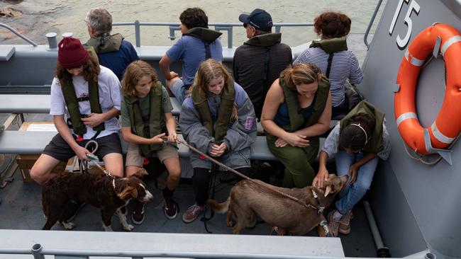 Mallacoota residents, tourists and their pets on HMAS Choules. Picture: Supplied