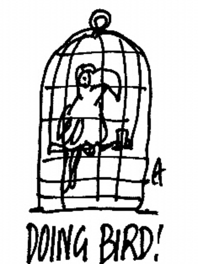 Fyfe’s missing budgie garnered public attention, and even newspaper cartoons, in the 1990s.