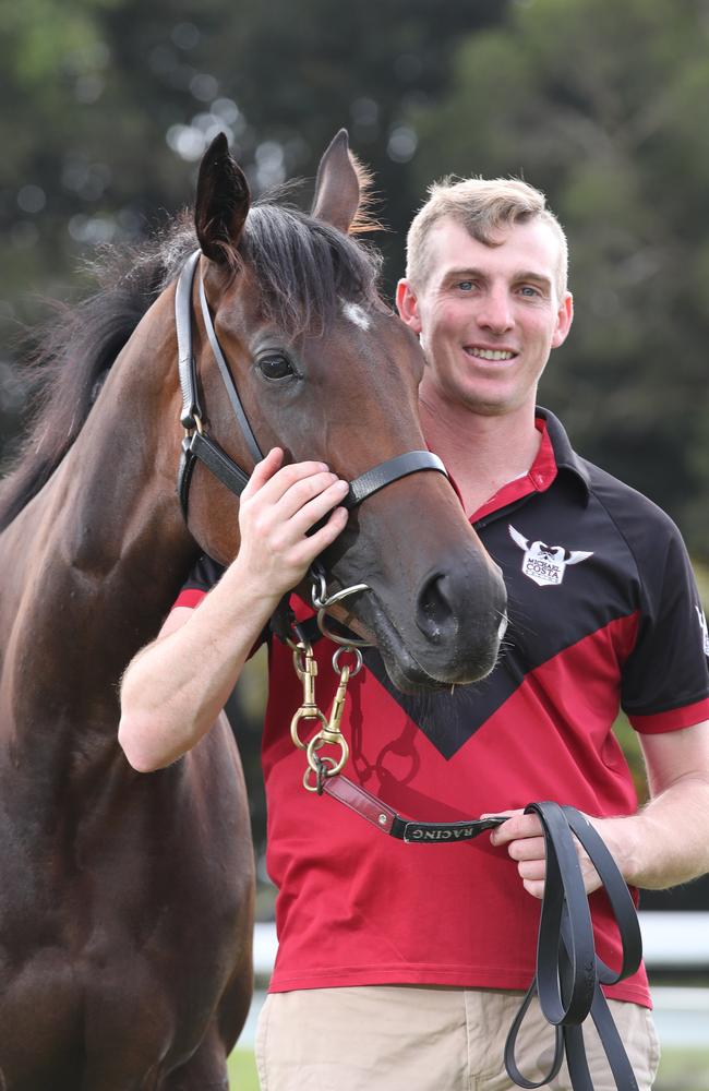 Michael Morrison takes Perfect Mission for a walk near her Bundall stables in February 2022. Picture Glenn Hampson