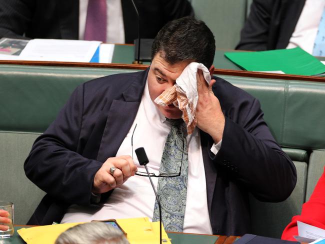 Liberal George Christensen feels the heat during Question Time today in Canberra. Picture Gary Ramage