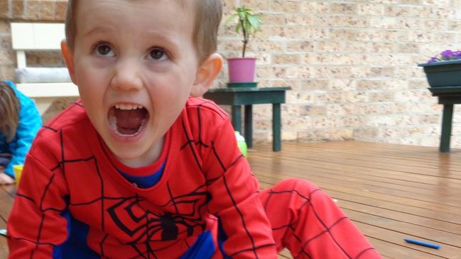 William Tyrrell disappeared from the Mid North Coast in 2014. NSW Police