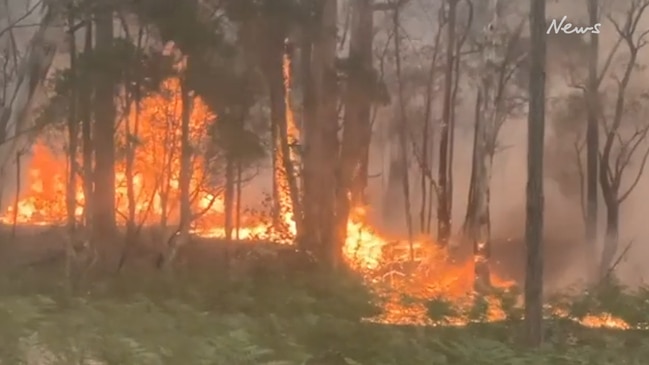 NSW bushfires continue to rage, major roads closed