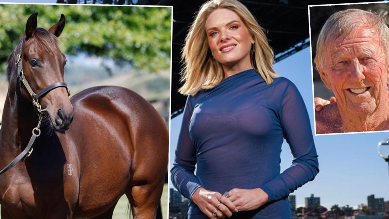 Single Singo buys Erin Molan a $700K race horse